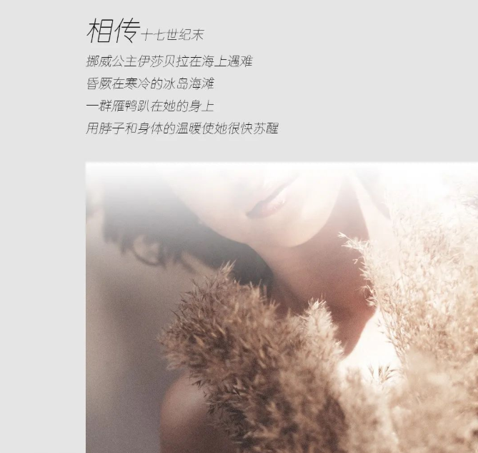 尋跡冰島,從‘絨’中發現自在巖感!