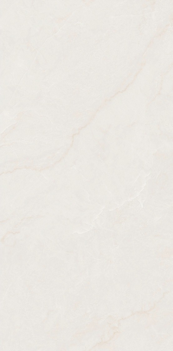 阿曼尼 QHGA85812產品圖