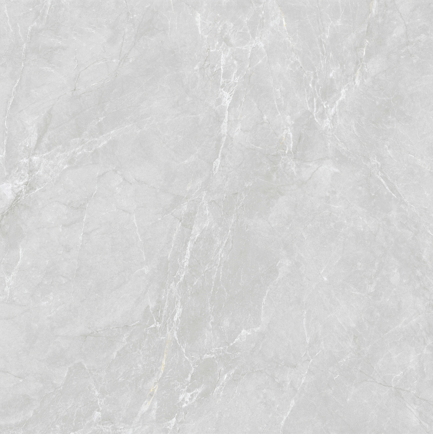 納斯卡 WAP80629T產品圖