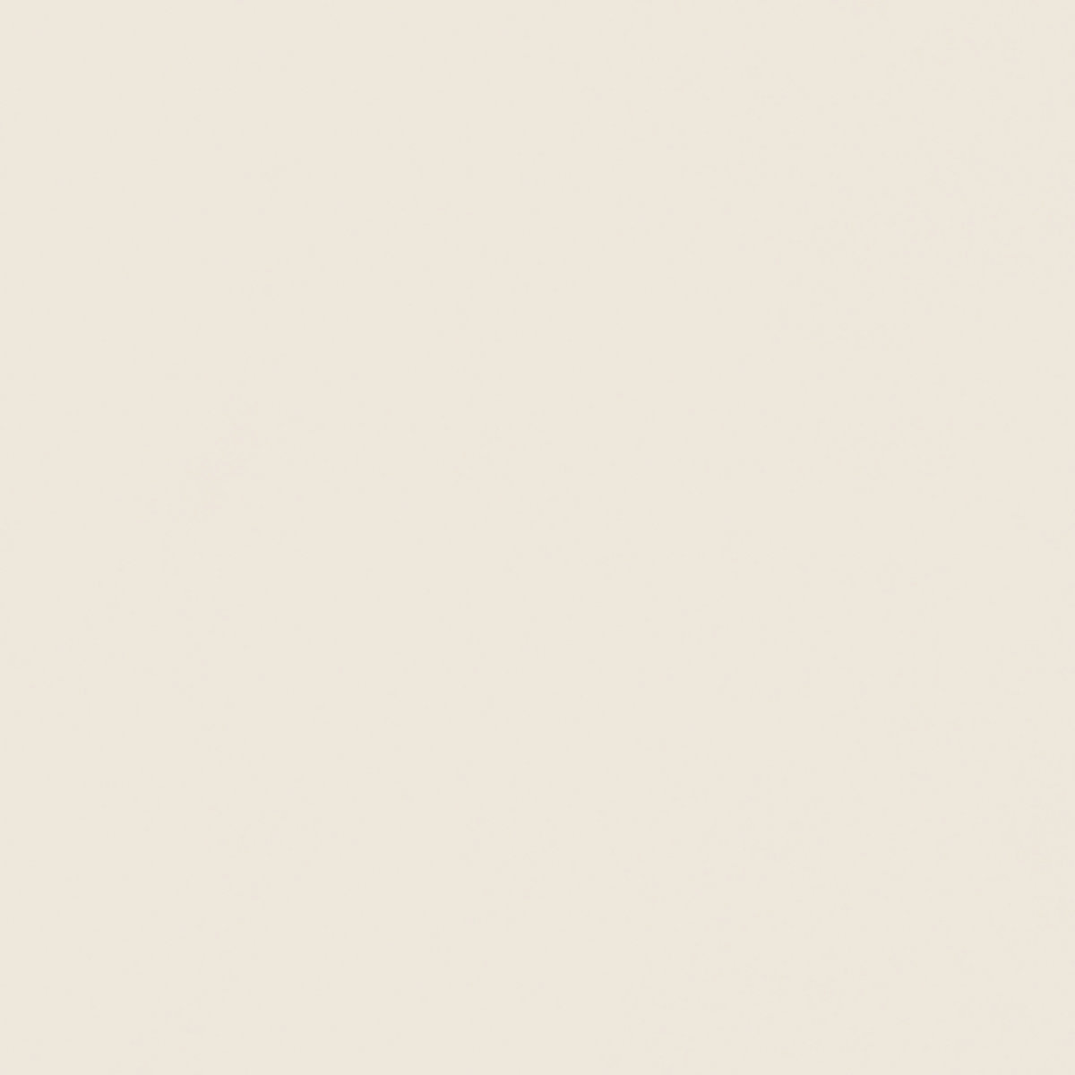 天香絹 QZ80E602E 產品圖