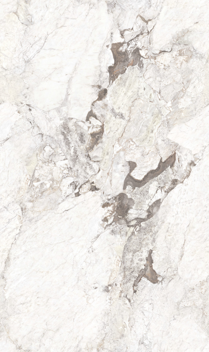 蒼巖浩渺 QCJ8135LW209A 產(chǎn)品圖