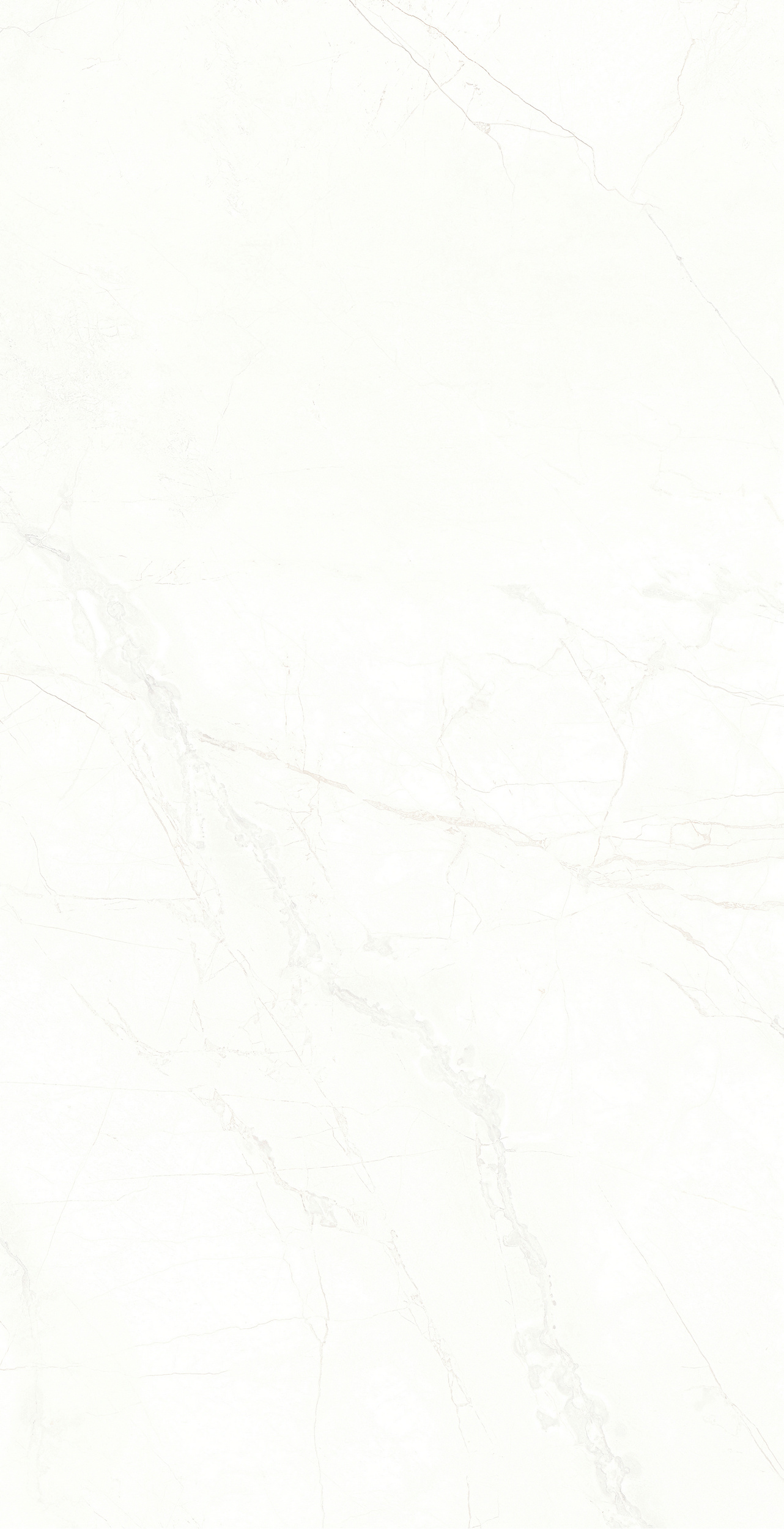 暮雪白 QHGA85632產品圖