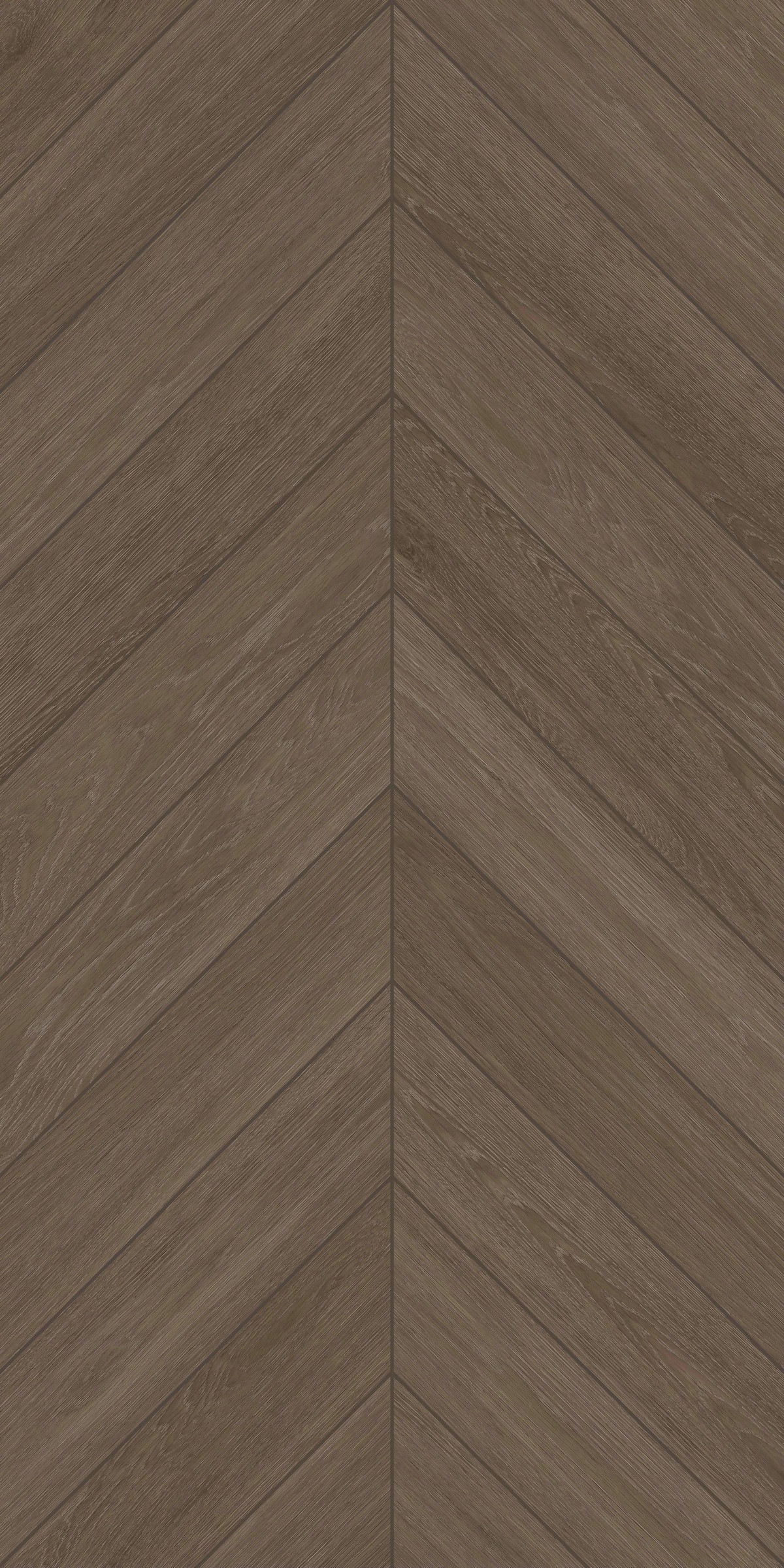 墨染胡桃 FMJR126208C 