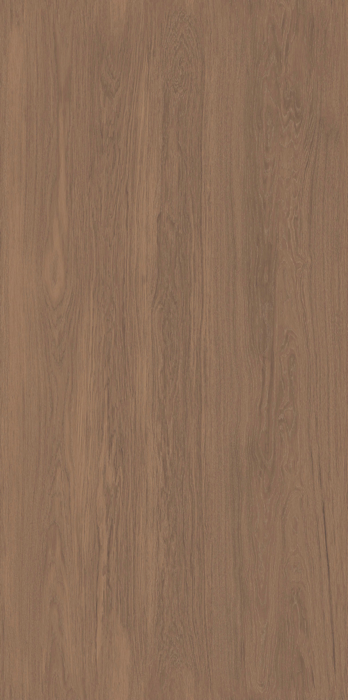 雨林橡木 FMJR126213C 