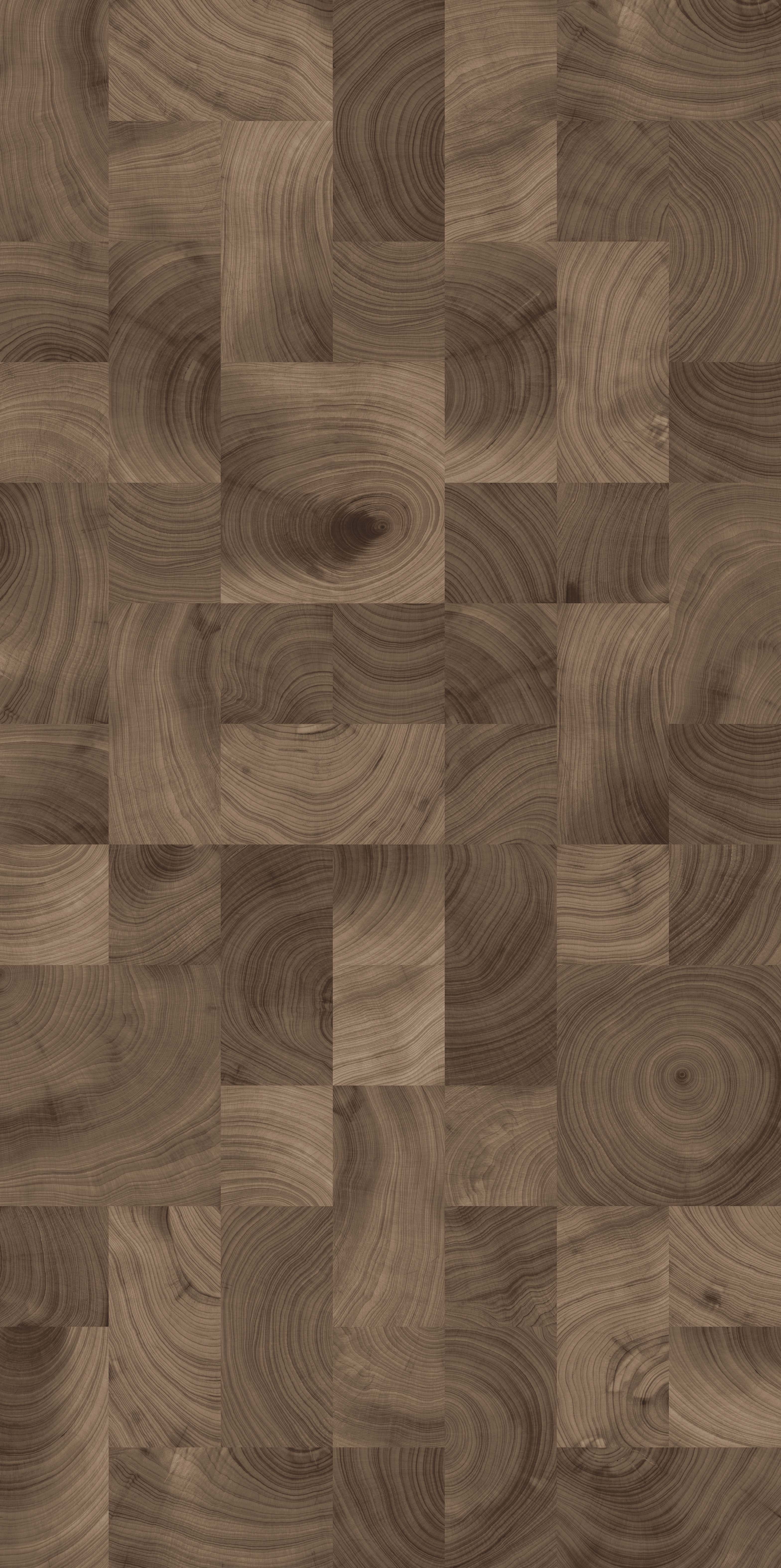 年輪印記 FMJR126217D 產(chǎn)品圖