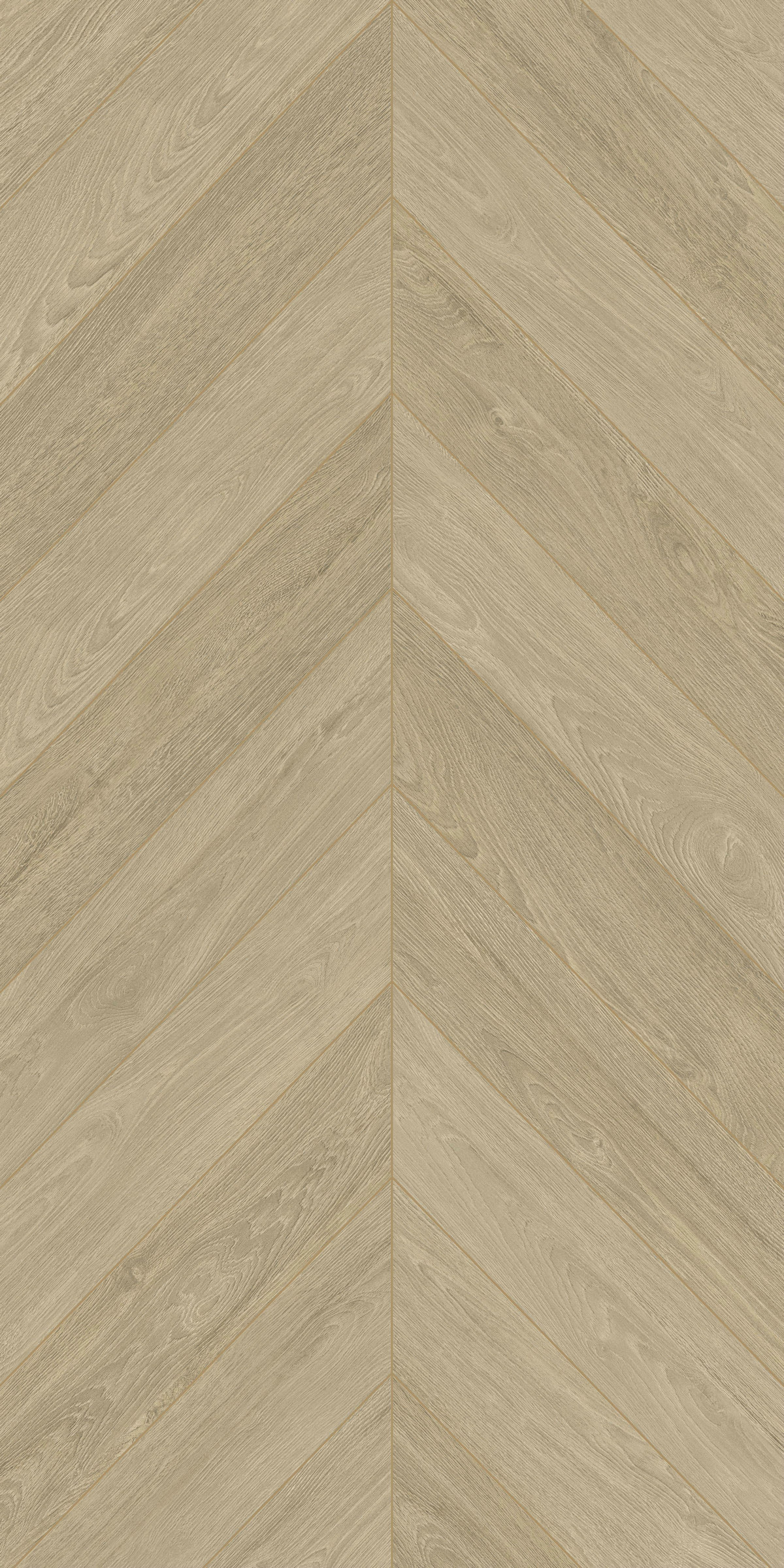 落葉喬木 FMSJ126205B 產(chǎn)品圖