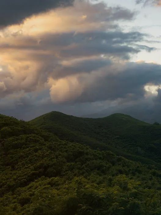 素色時光系列 | 一抹素色,訴說著雅韻時光(圖25) 素色時光系列 | 一抹素色,訴說著雅韻時光(圖25)