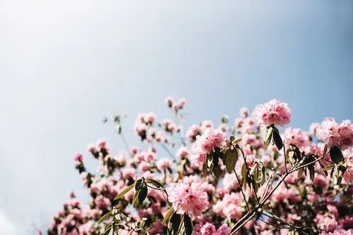 艾特思巖板系列?淡墨余香 | 在溫情浪漫中勾勒舒適氛圍(圖4) 圖片