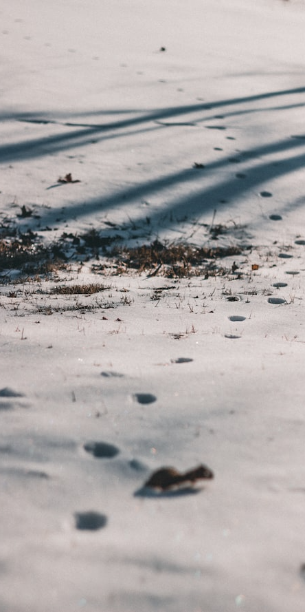 艾特思巖板系列?淡墨余香 | 在溫情浪漫中勾勒舒適氛圍(圖6) 圖片