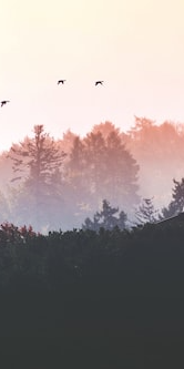 艾特思巖板系列?落日平沙 | 享受光影漫游的藝術體驗(圖6) 圖片