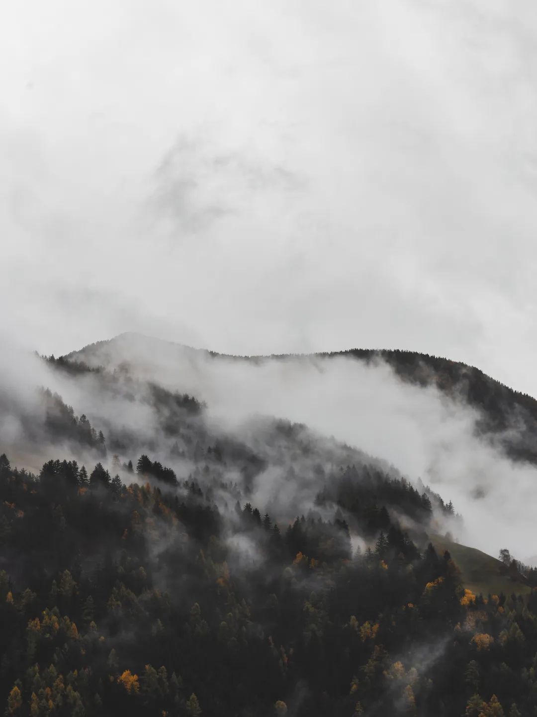 新品上市 | 質(zhì)感?原生石系列,探尋自然之境(圖6) 新品上市 | 質(zhì)感?原生石系列,探尋自然之境(圖6)