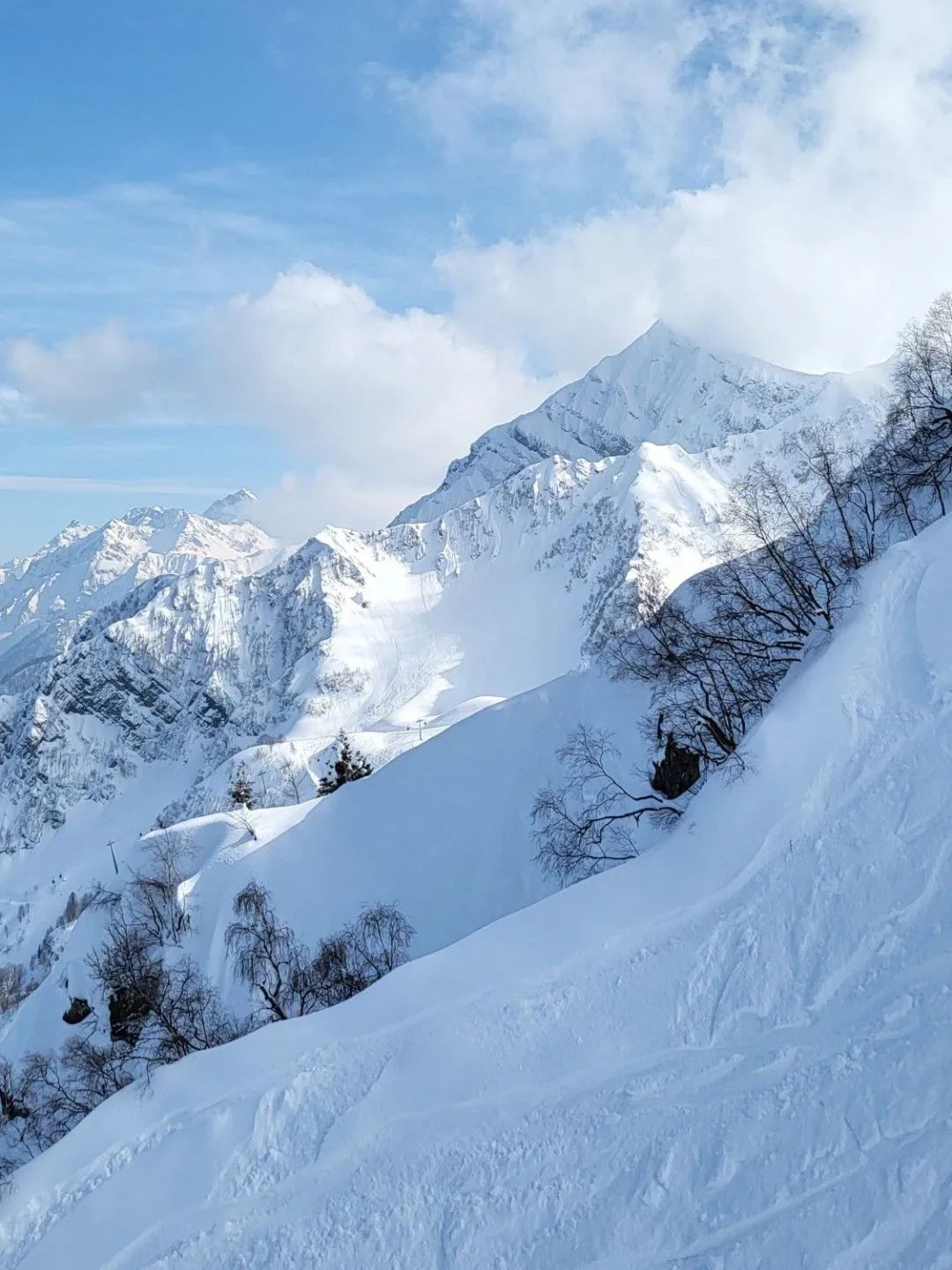 新品上市 | 質(zhì)感?原生石系列,探尋自然之境(圖11) 新品上市 | 質(zhì)感?原生石系列,探尋自然之境(圖11)