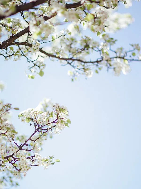 新品上市 | 質(zhì)感?原生石系列,探尋自然之境(圖31) 新品上市 | 質(zhì)感?原生石系列,探尋自然之境(圖31)