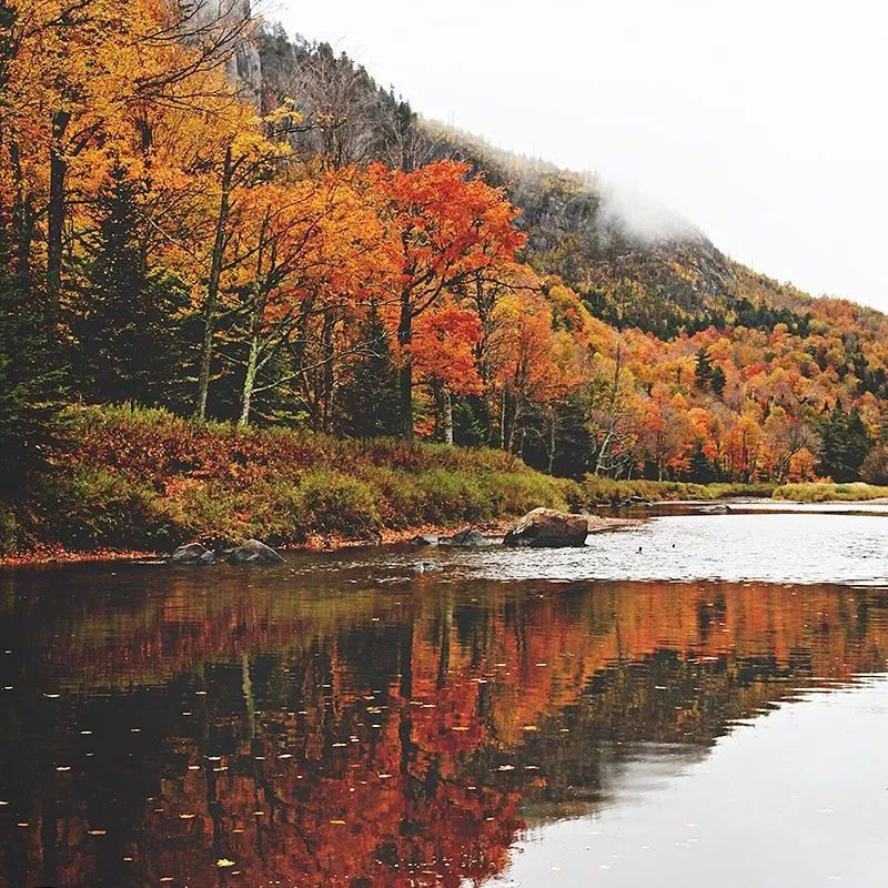 質感原生石系列 | 一抹秋色,喚醒秋日家居的限定浪漫