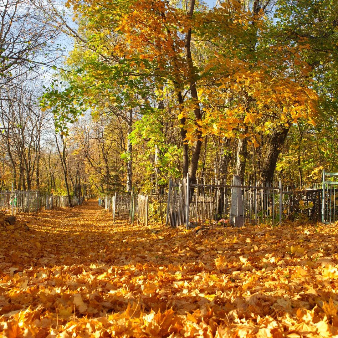 質感原生石系列 | 一抹秋色,喚醒秋日家居的限定浪漫(圖3) 質感原生石系列 | 一抹秋色,喚醒秋日家居的限定浪漫(圖3)