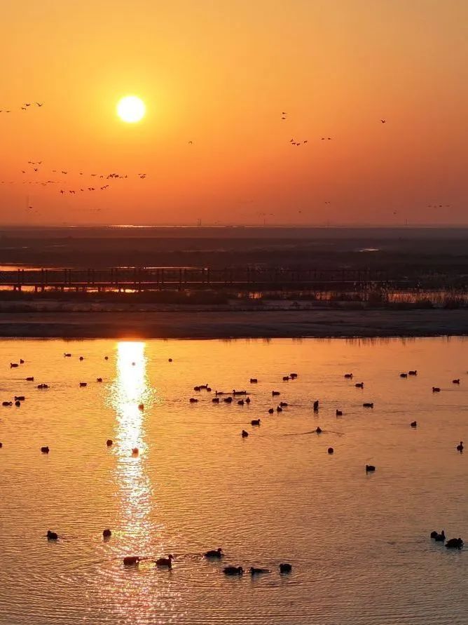 終端風采 | 強輝東營旗艦店，探尋質(zhì)感空間的詩意生活(圖1)