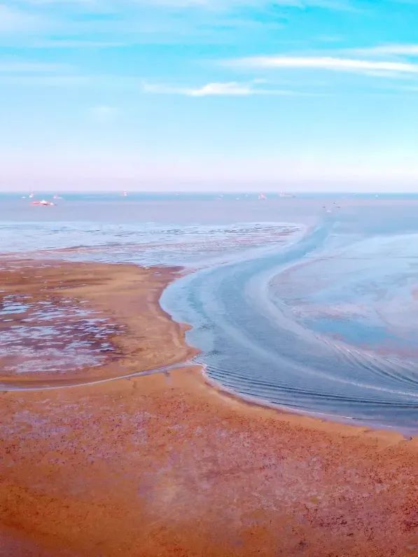 終端風采 | 強輝東營旗艦店，探尋質(zhì)感空間的詩意生活(圖2)