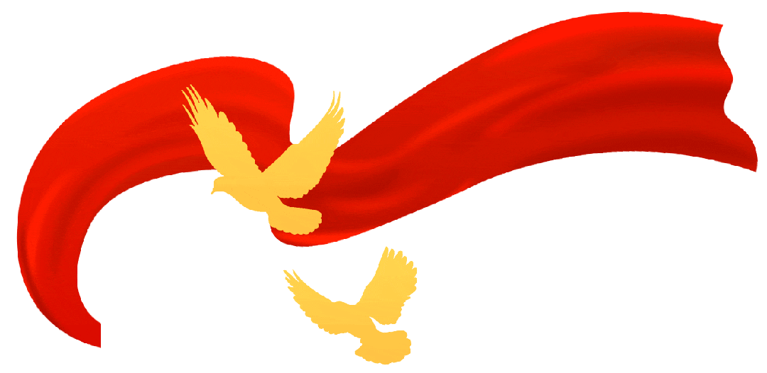 聚勢共鑒?標(biāo)桿領(lǐng)航 | 強輝2025區(qū)域培訓(xùn)峰會暨美學(xué)賦能行動晉江站圓滿落幕(圖2) 聚勢共鑒?標(biāo)桿領(lǐng)航 | 強輝2025區(qū)域培訓(xùn)峰會暨美學(xué)賦能行動晉江站圓滿落幕(圖2)