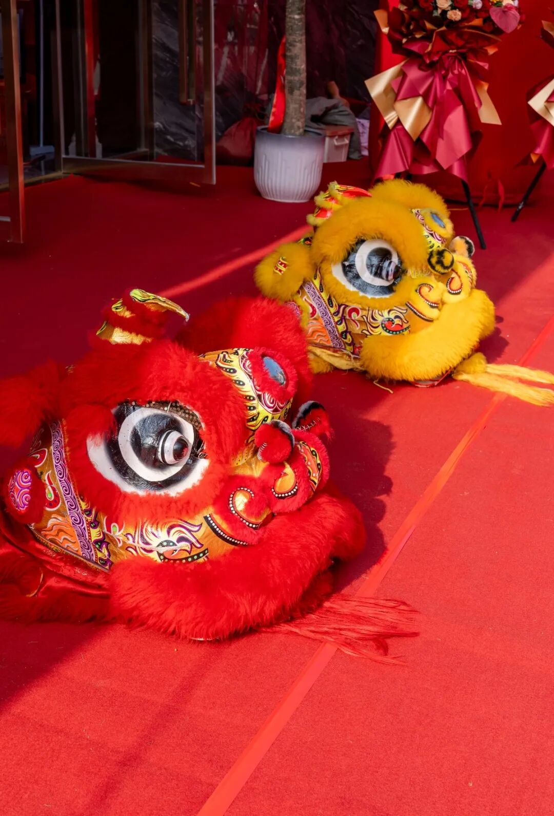 精工筑夢·摯友同行 | 強輝邢臺旗艦店煥新開業(yè)(圖3)